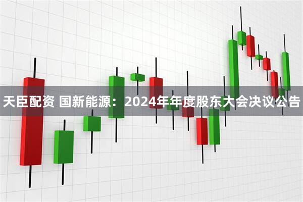 天臣配资 国新能源：2024年年度股东大会决议公告