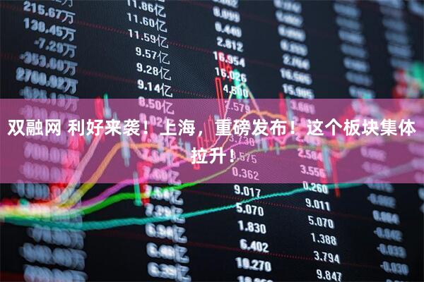 双融网 利好来袭！上海，重磅发布！这个板块集体拉升！