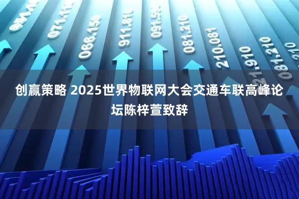 创赢策略 2025世界物联网大会交通车联高峰论坛陈梓萱致辞